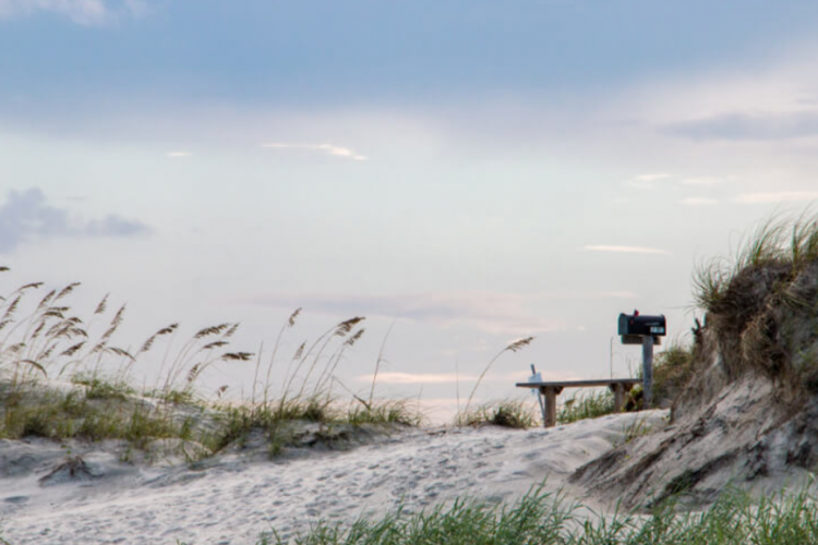 photo overlooking the dunes along the coast